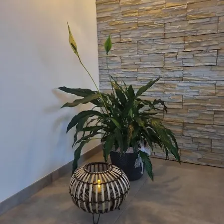 Wellness * Mechernich