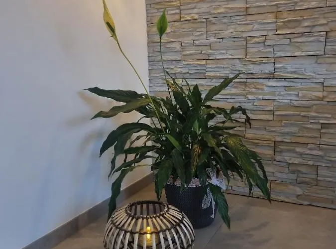 Wellness * Mechernich